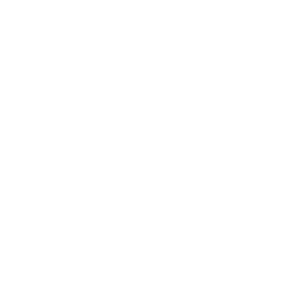 konrad bisser Consultants